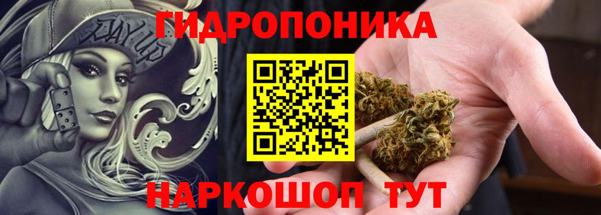 Бошки марихуана семена  Вход с VPN  Волжский  Бошки Шишки Bruce Banner 